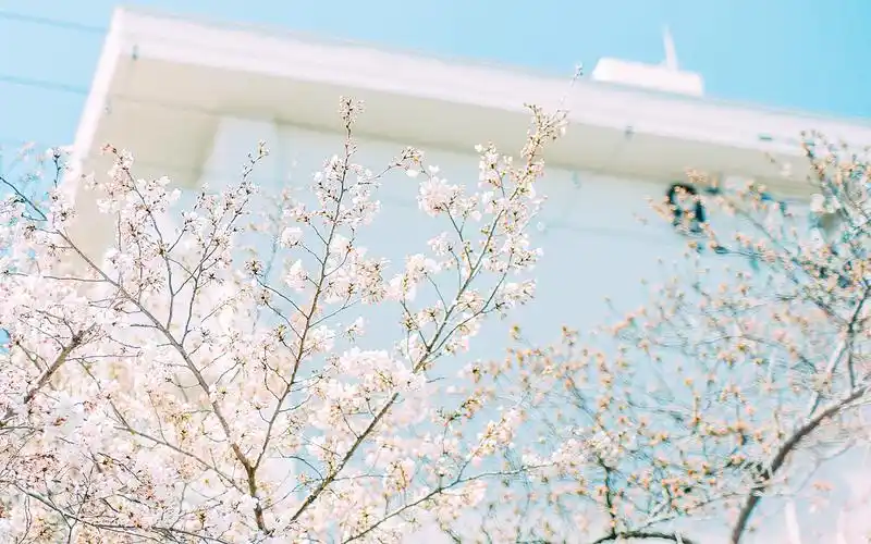 桌面壁纸 日系文艺小清新街道风景高清桌面壁纸上一张下一张查看原图