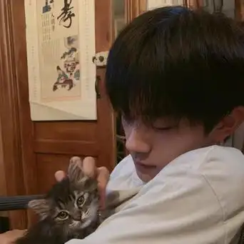 易烊千玺穿短袖撸猫,抱怀中抚摸表情宠溺_凤凰网娱乐_凤凰网