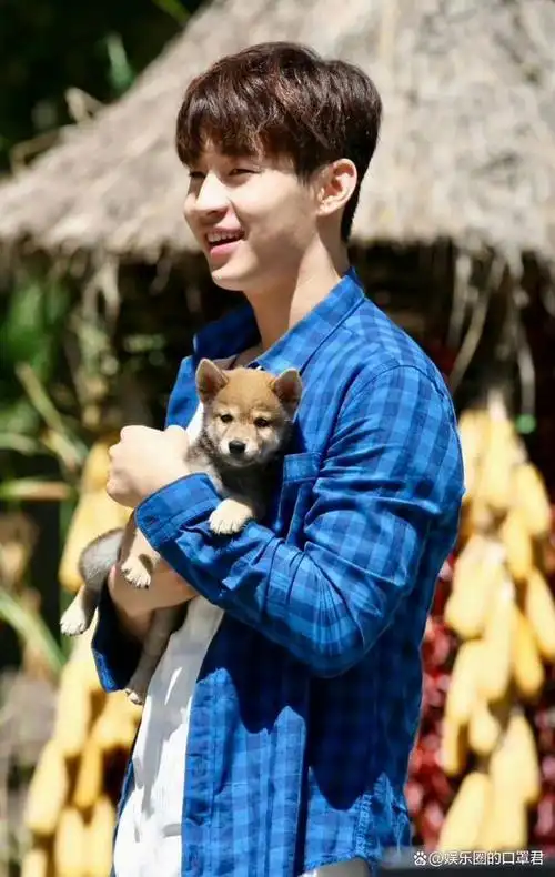 刘宪华重回向往的生活小h长大了!《moonlight》超好听