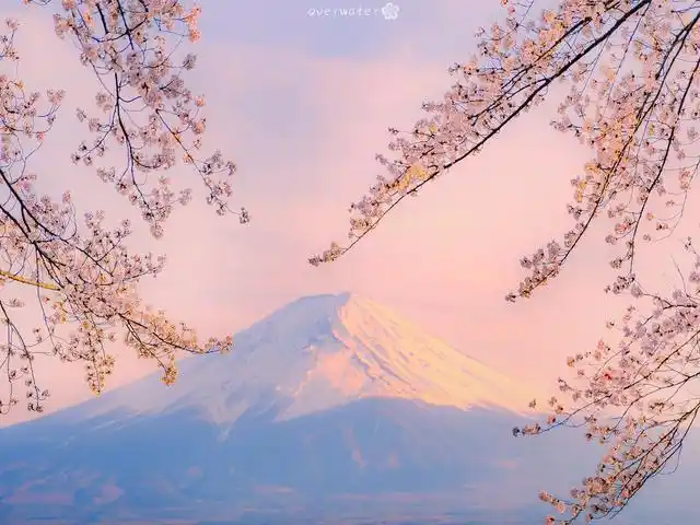 抖音发风景很火的短句,治愈系风景文案句子