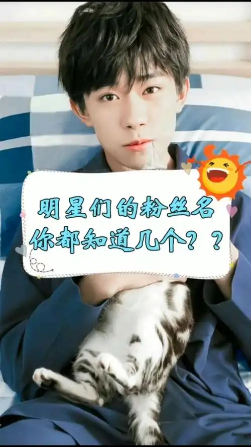 明星的粉丝名,你知道几个?