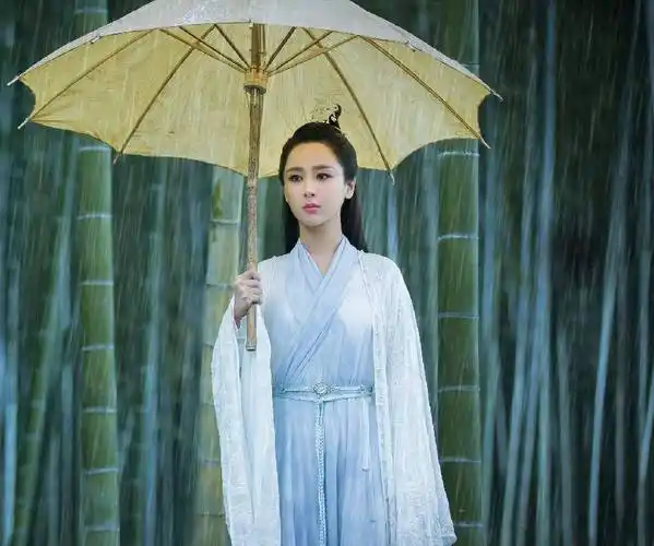 这四部剧杨紫演得是配角,每一部都阵容强大,最后一部火了好多年