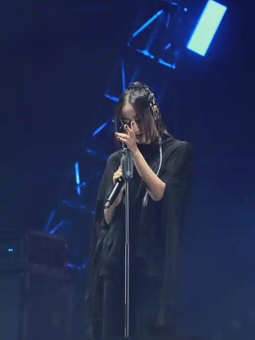 草莓音乐节攻略抢前排第一排划算超值陈粒