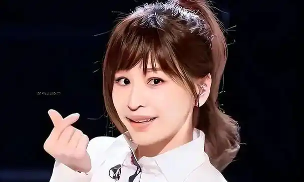 网友曝光2024浪姐名单咖位一届不如一届一人恐成大黑马