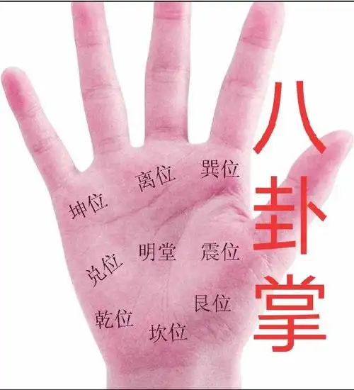 免费四柱八字排盘详解免费算卦占卜六爻解卦免费八字测算