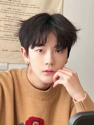 假发男中分 蓬松帅气_网红同款假发男中分刘海短发韩版帅气自然蓬松