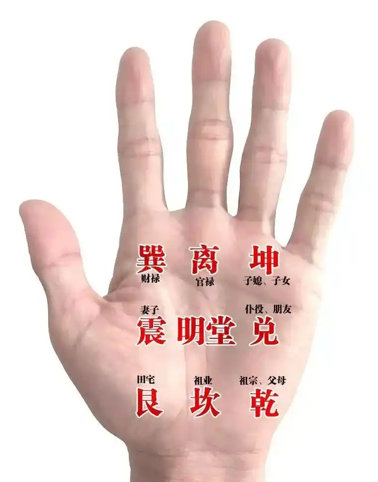 手相学将人的手掌分为八个宫位,与八卦相对应,每一卦代表不同意 - 抖