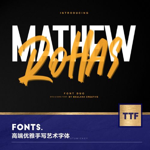 423003 国外高端手写笔刷海报体英文字体mathew-rohas-brush-font