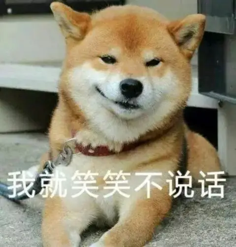 【表情包】霸道柴总的沙雕日常