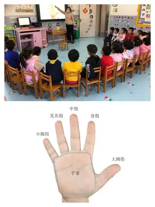 我们和老师一起认识手指,记住了五兄弟的名字!