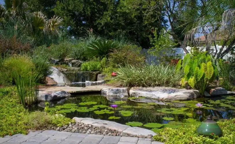 【干货】生态池塘diy教程