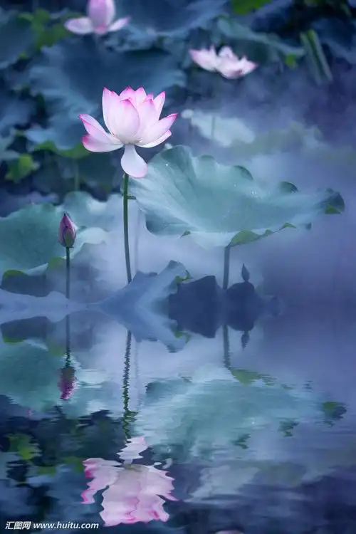 禅意,古风,意境,静