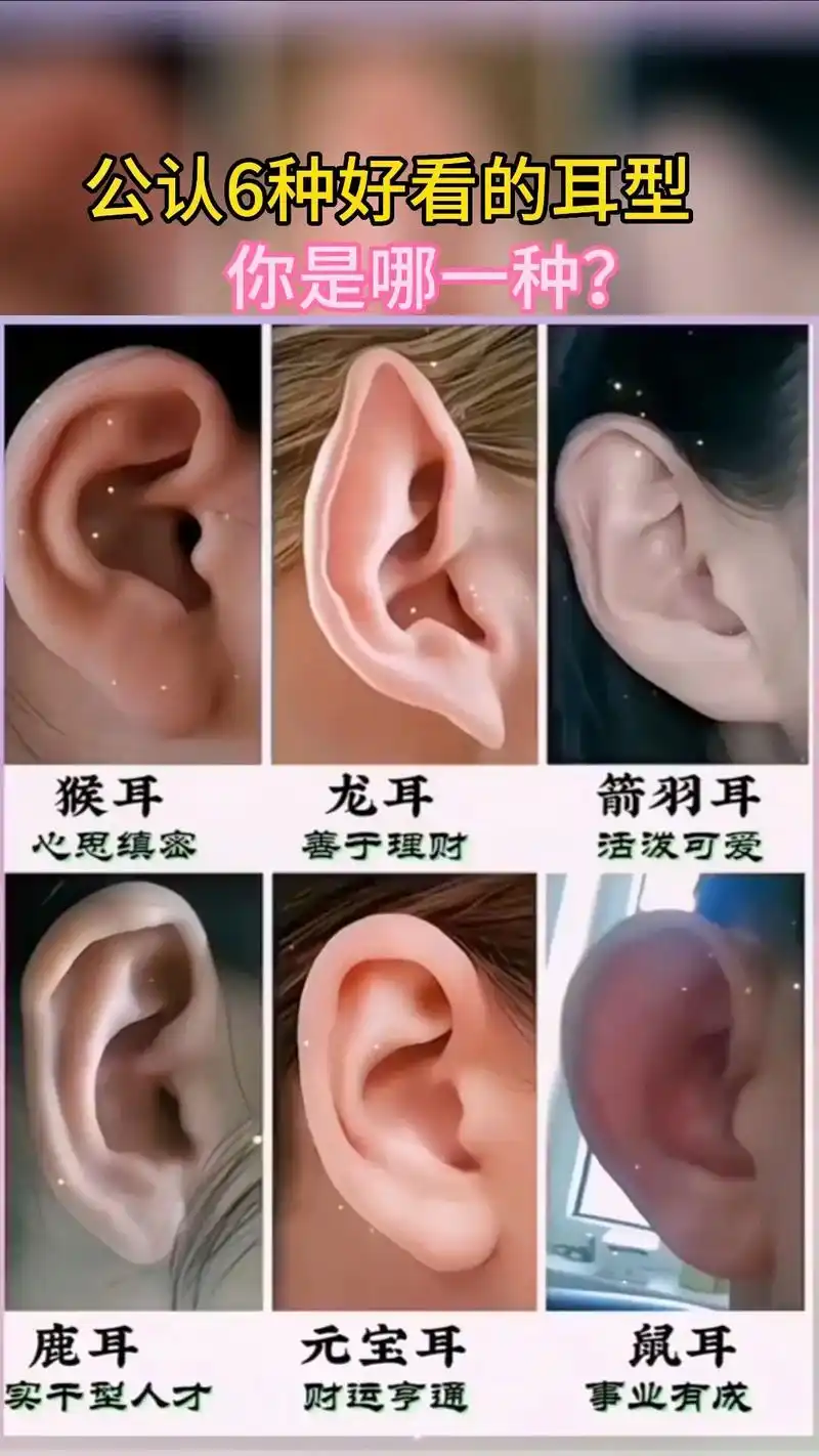 耳型 #你是什么耳型 #耳型自测图 #耳型测试 - 抖音