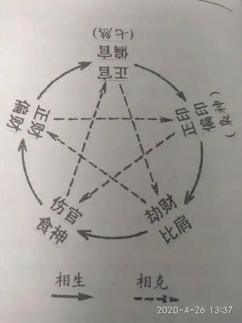 八字里主柱是什么意思