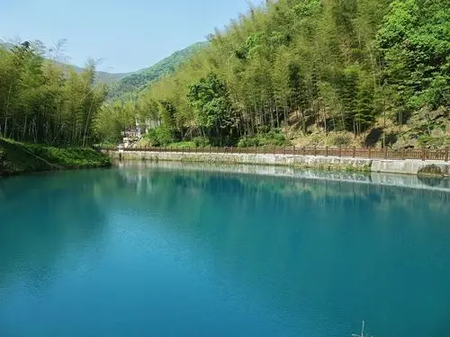 宜兴湖父镇竹海,茶园