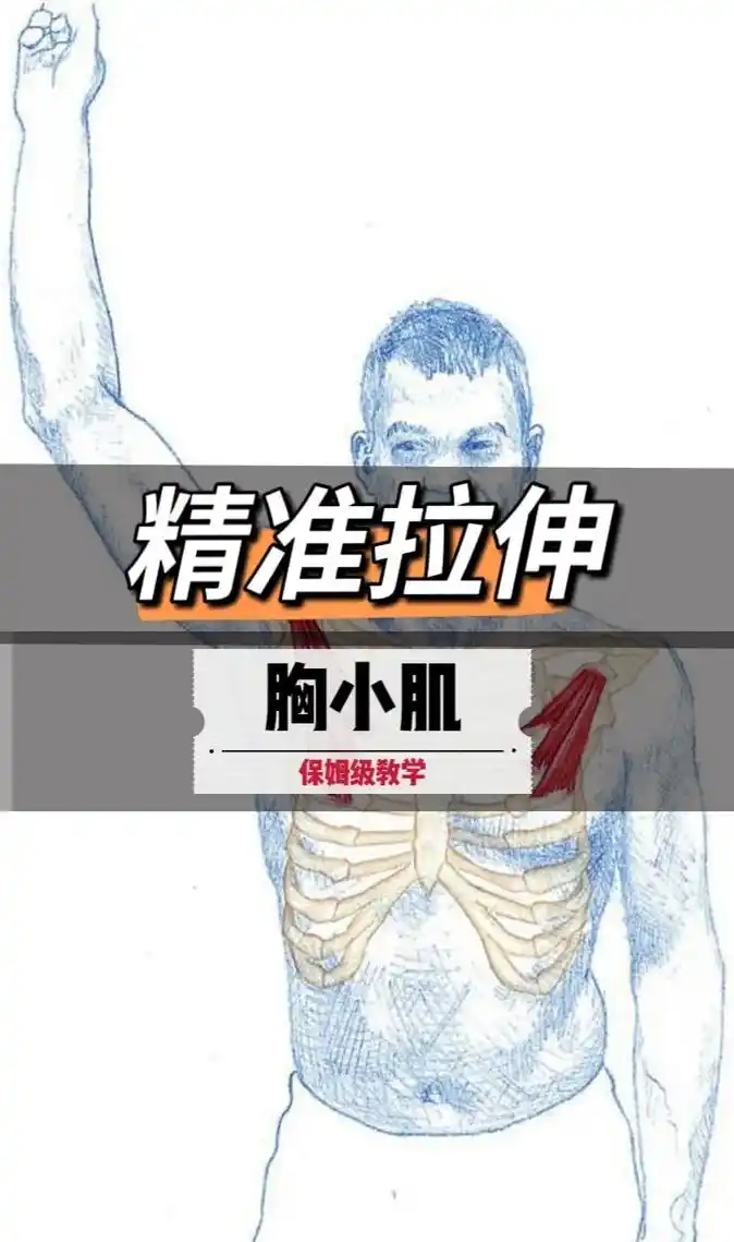 拉伸胸小肌很难真正感受到较好的拉伸效果,因为这块 - 抖音