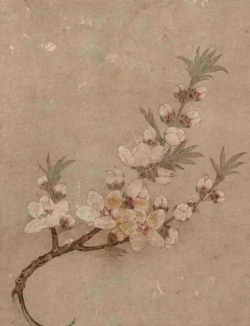 钱选《折枝桃花图》简介