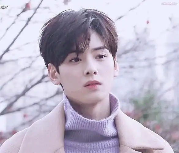 脸蛋天才车银优头像一