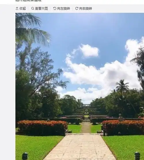 李咏离开后,哈文发文晒出李咏的墓地,说出不愿意回国的理由!_网易订阅