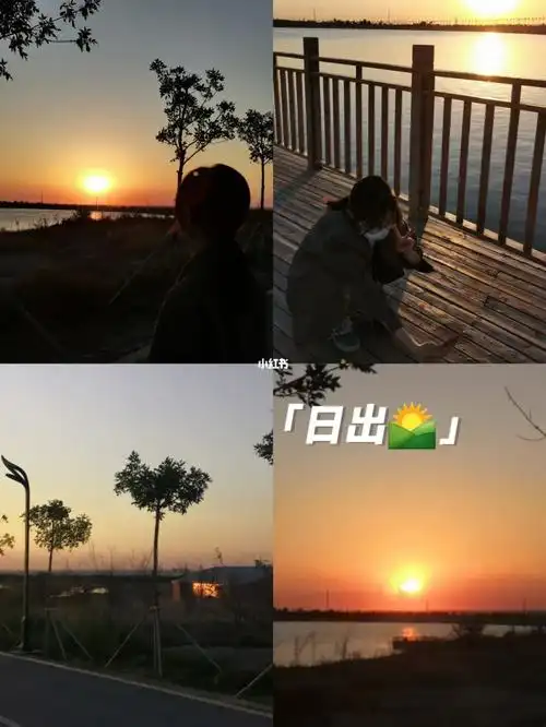 你是我寡淡无味青春里最特别的存在