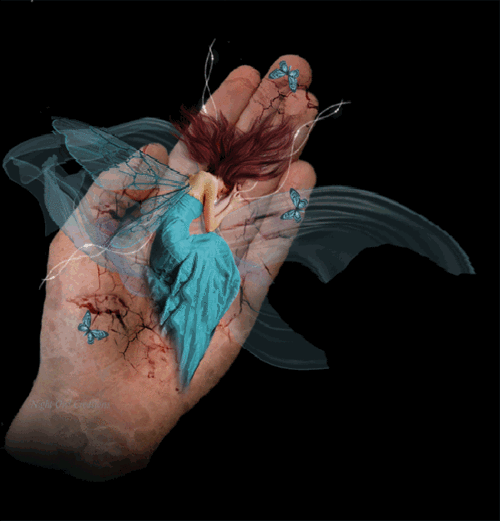 吾主题社区: boxbuc 欢迎您来到我的吾主题!