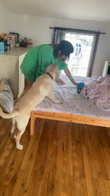 搞笑gif:我有你女朋友走路的视频,不信你看看