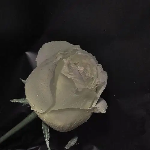 背景图|黑色系|简约风|ins风