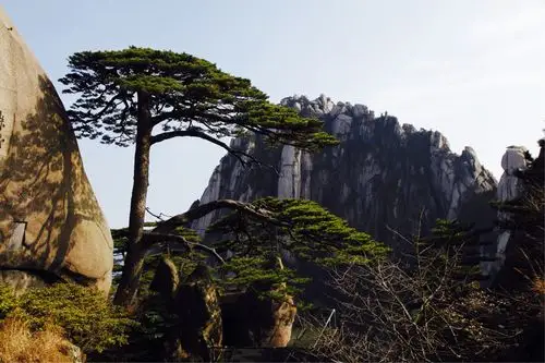 本集记录了晚年登过或者拍过的名山大川和锦绣梯田.