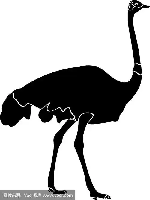 孤立的鸵鸟轮廓