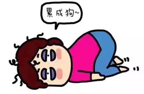 累得像狗一样的说说 别累着狗