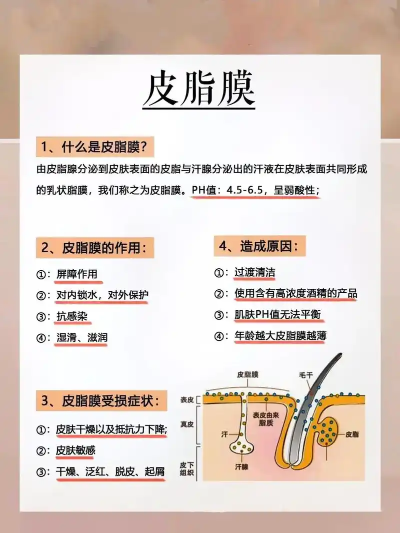皮肤生理学知识#皮肤管理 #干货分享 - 抖音