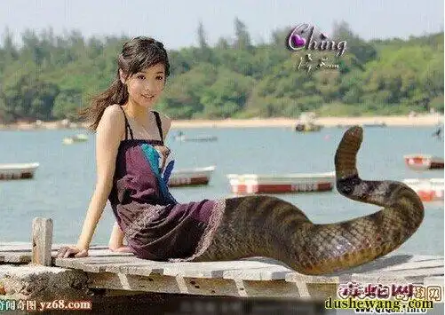 美人蛇图片