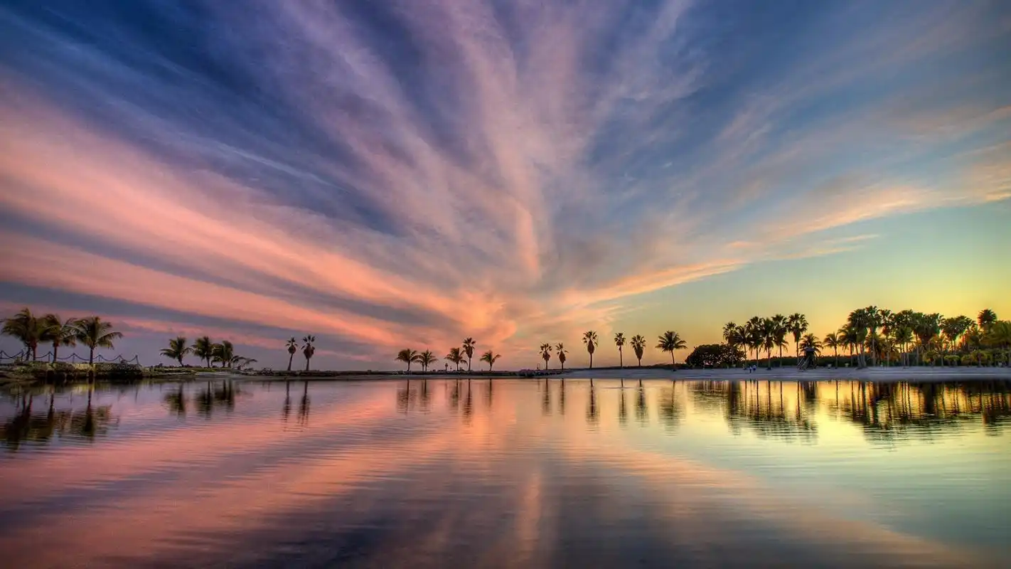唯美意境树木风景桌面壁纸