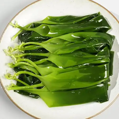 海带苗嫩正宗新鲜火锅商用5斤特产盐渍带芽海带