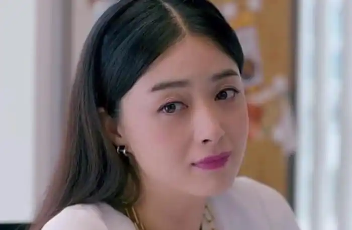 欢乐颂樊胜美(樊胜美最后落得一无所有的境地)