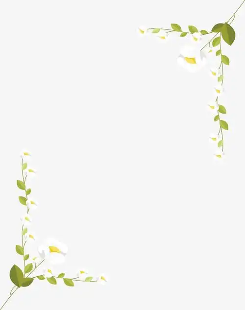 浪漫白色花藤边框