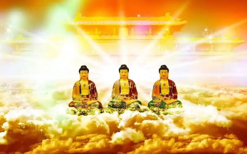 尽此一报身.同生极乐国. 愿生西方净土中,九品莲花为父母.