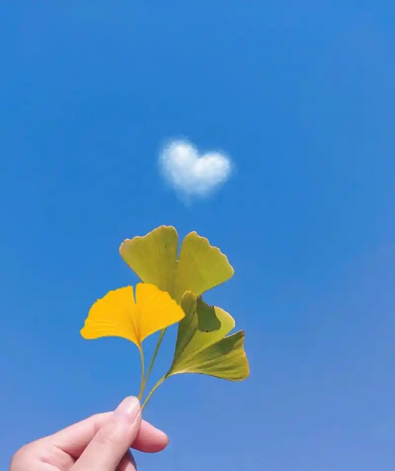 落落大方,好好生活,只要在变好.