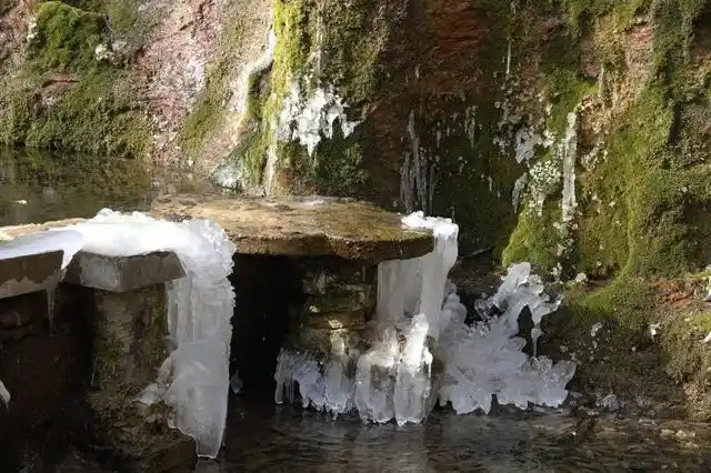 中心/关惠文 审核:县融媒体中心/文诚勇 编辑:县融媒体中心/朱双双