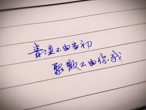 心情优美的句子好心情的句子短句唯美