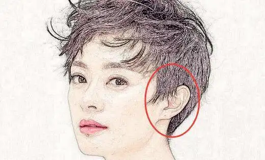 若是耳朵长得好的女人,耳白与面,双耳贴脑,耳高与眉,则这样的女人