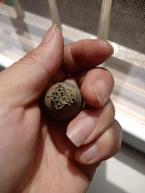 03清代老铜鎏金官帽顶珠一个