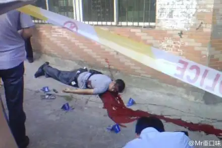 击毙周克华 公众怀疑为何成条件反射