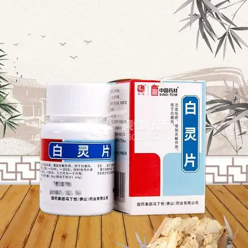 冯了性 白灵片 96片
