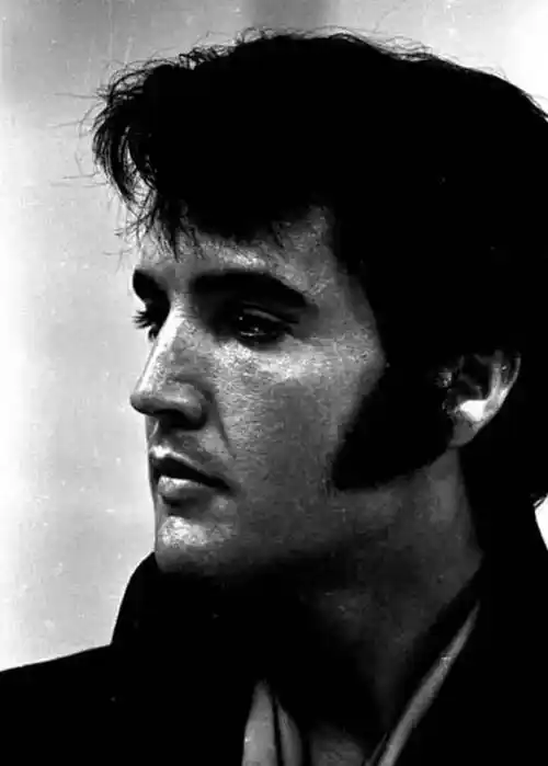 猫王为什么会在华语地区被叫做猫王?致敬经典,重现传奇