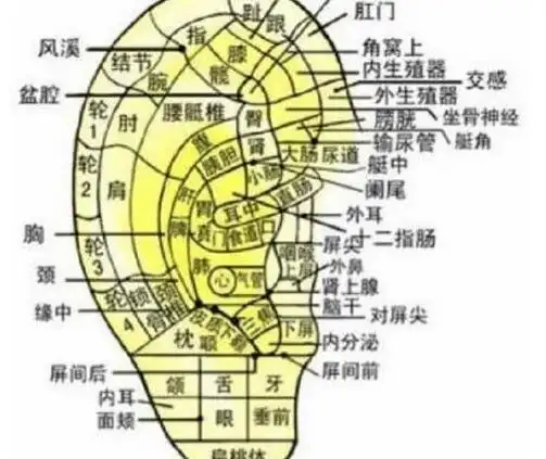 耳朵痣的位置与命运图关于痣的解释