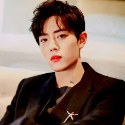 肖战头像//拿图点赞评论收藏江婉殿下