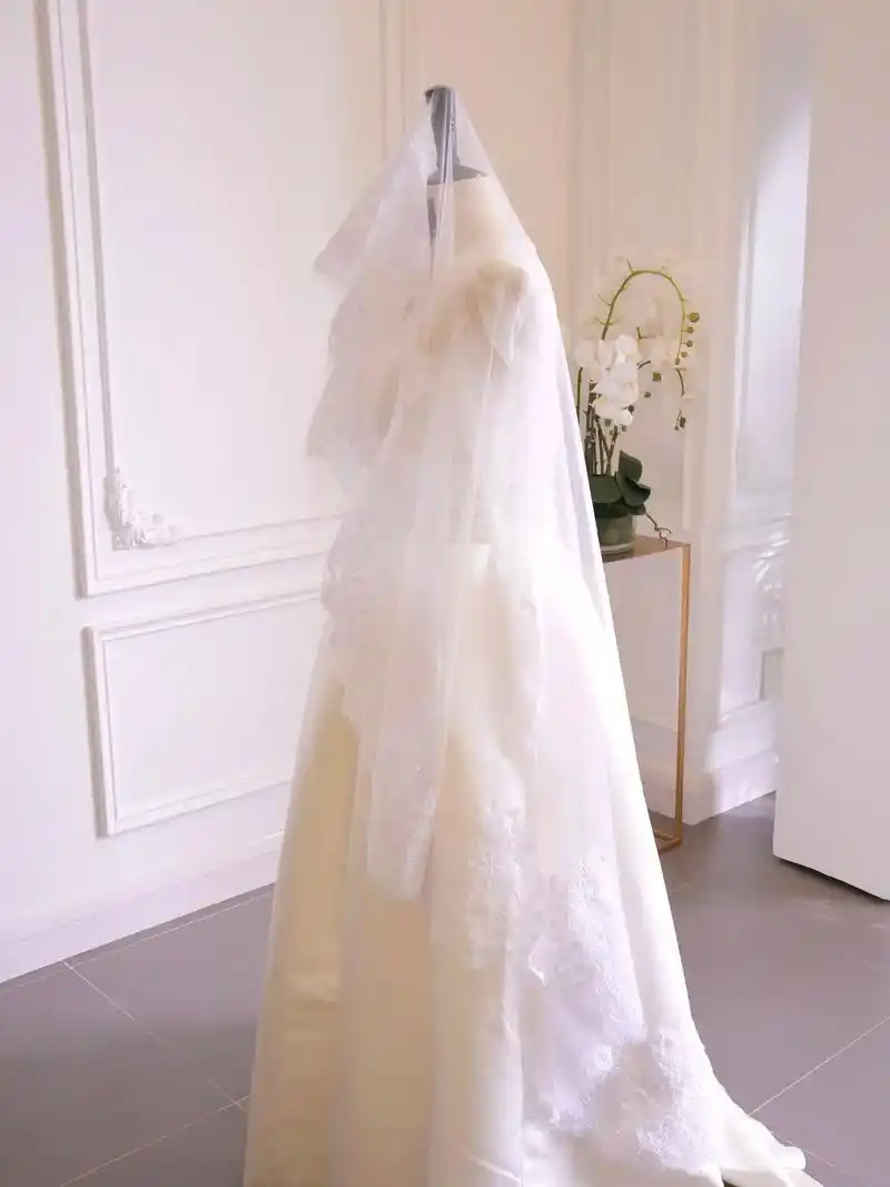 复古奢华蕾丝头纱.是光照进来的地方!  婚纱 - 抖音