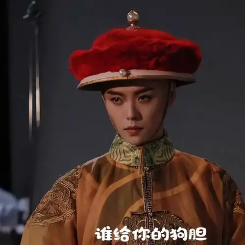 肖宇梁表情包(粉丝整活)