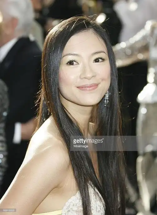 章子怡 ziyi zhang的图片